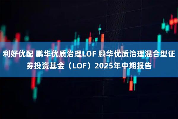 利好优配 鹏华优质治理LOF 鹏华优质治理混合型证券投资基金（LOF）2025年中期报告