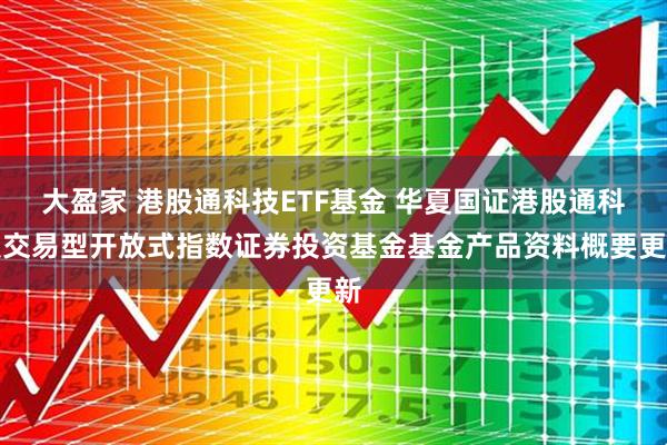 大盈家 港股通科技ETF基金 华夏国证港股通科技交易型开放式指数证券投资基金基金产品资料概要更新