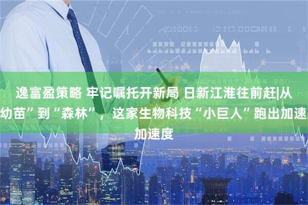 逸富盈策略 牢记嘱托开新局 日新江淮往前赶|从“幼苗”到“森林”，这家生物科技“小巨人”跑出加速度