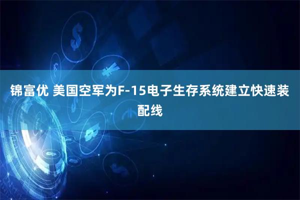 锦富优 美国空军为F-15电子生存系统建立快速装配线
