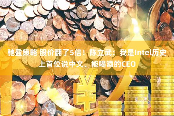 驰盈策略 股价翻了5倍！陈立武：我是Intel历史上首位说中文、能喝酒的CEO