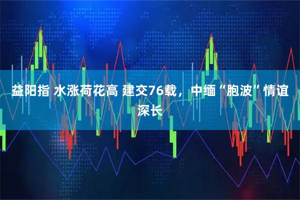益阳指 水涨荷花高 建交76载，中缅“胞波”情谊深长