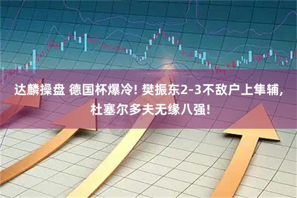 达麟操盘 德国杯爆冷! 樊振东2-3不敌户上隼辅, 杜塞尔多夫无缘八强!